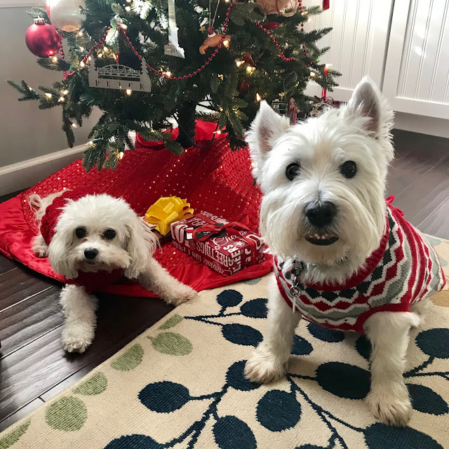 Two dogs laying on the floor, on a red Christmas tree skirt, under a decorated Christmas tree.