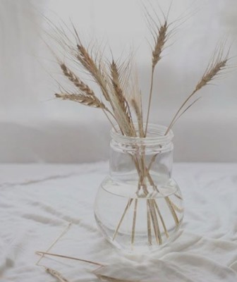 clip_image006