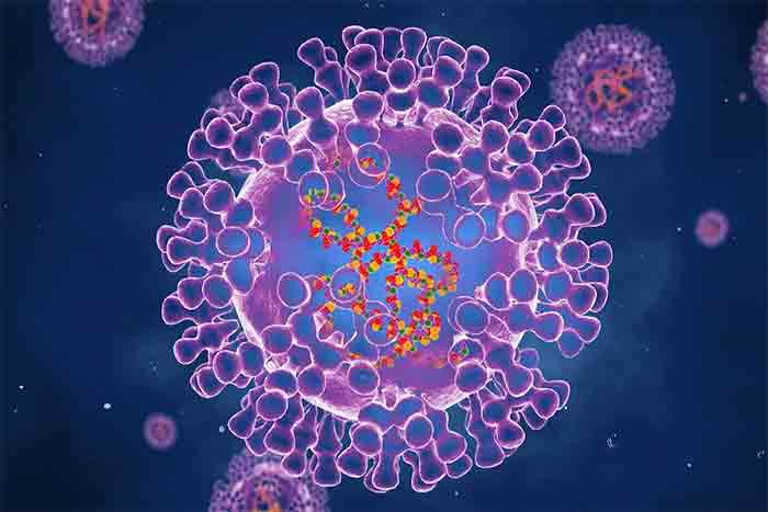 News, World, Gulf, Top-Headlines, UAE, Dubai, Virus, Health, South Africa, Treatment, International, Monkey Pox, UAE detects first case of monkeypox.