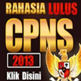 penerimaan cpns 2013