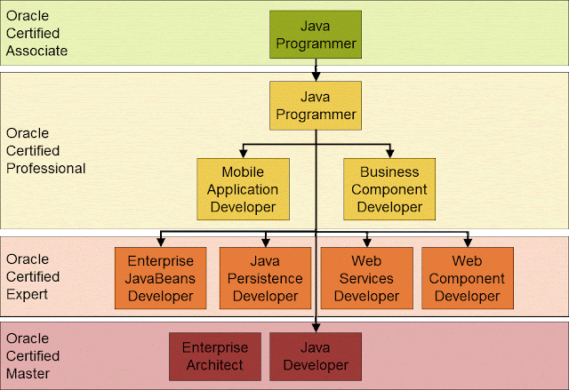  The latest version of Java SE certification is instantly OCAJP  Java 8 Certifications - Oracle Java SE 8 Programmer 1 (1Z0-808) - Latest OCAJP Exam (OCP xi 1Z0-815 together with 1Z0-816)