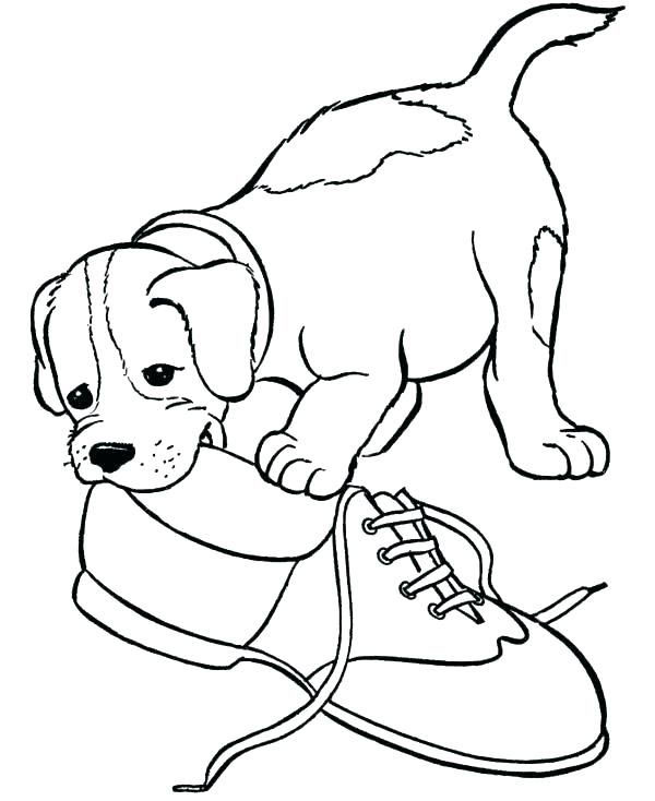 animals coloring page