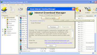 Internet Download Manager 6.15