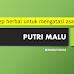 Cara Menyembuhkan Asam Urat Dengan Putri Malu