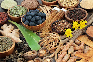 Medicinal Plant Extracts Market Analysis