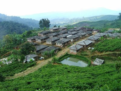 Ini Dia 3 Bidang Usaha Yang Menjanjikan di Kampung