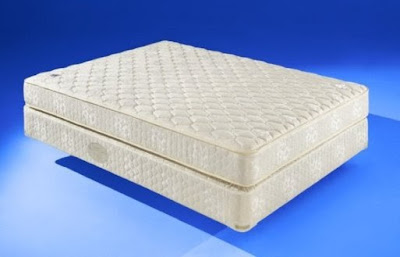 Personal Giant Mattress