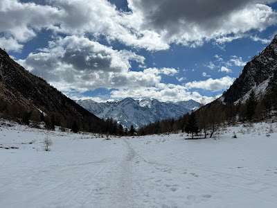 View south from the tail toward the Adamello group.