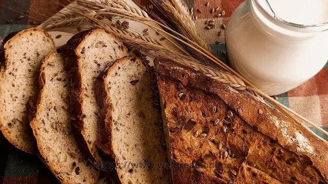 Everything You Need to Know About Gluten-Free Bread for Athletes