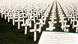 the 5000 crosses erected for the display - sobering image