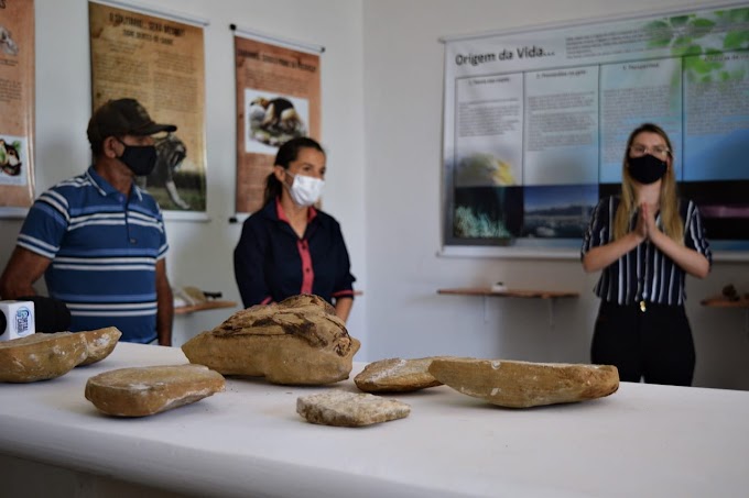 Fósseis de cerca de 110 milhões de anos são descobertos em Salitre, interior do Ceará