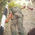 Policeman killed in Ekiti bank robbery