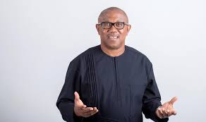 The supplementary budget is not adequately addressing urgent national needs and emergencies, as voiced by Peter Obi.