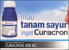 Insektisida CURACRON 500EC berbahan aktif  Profenofos 500g/l