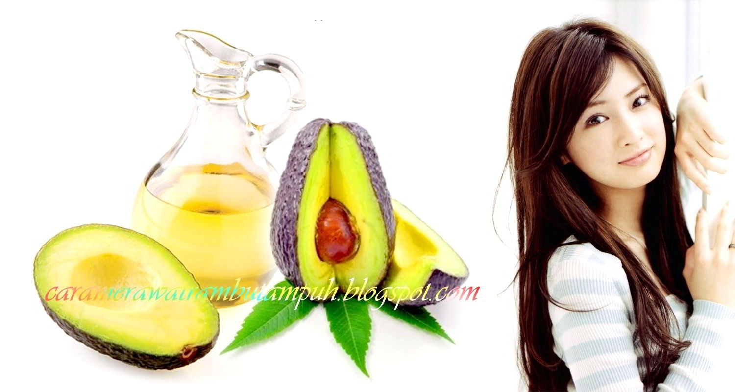 Cara Merawat Rambut Alami Dengan Buah Alpukat Tips Cara Merawat