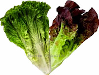 Lettuce Nutrition & Health Benefits