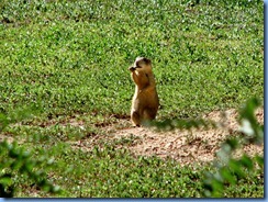 5960 Prairie Dog Days Inn Cortez CO