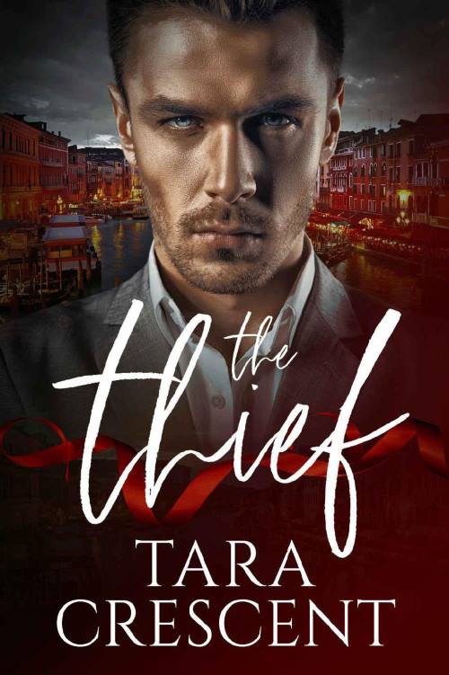 You are currently viewing The Thief by Tara Crescent