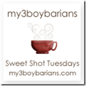 sweetshotbutton