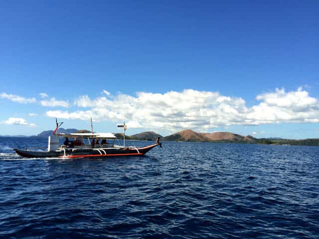 A View of Malcapuya Island