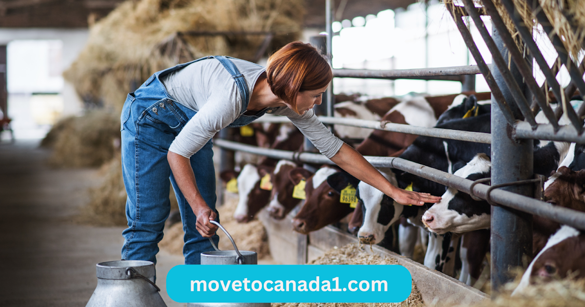 Dairy Farm Worker Needed In Canada By Breukelman’s Mountain View Farm ...