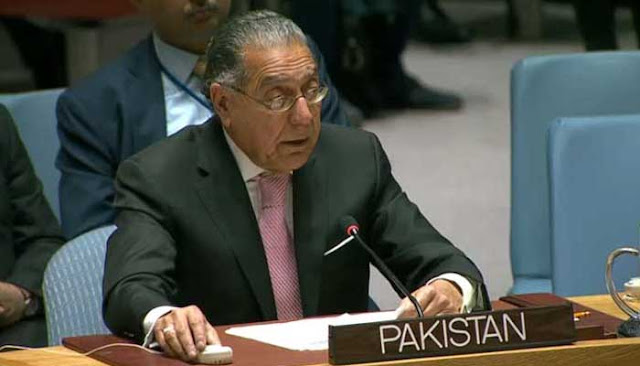 Pakistan’s Munir Akram elected as UN ECOSOC's president