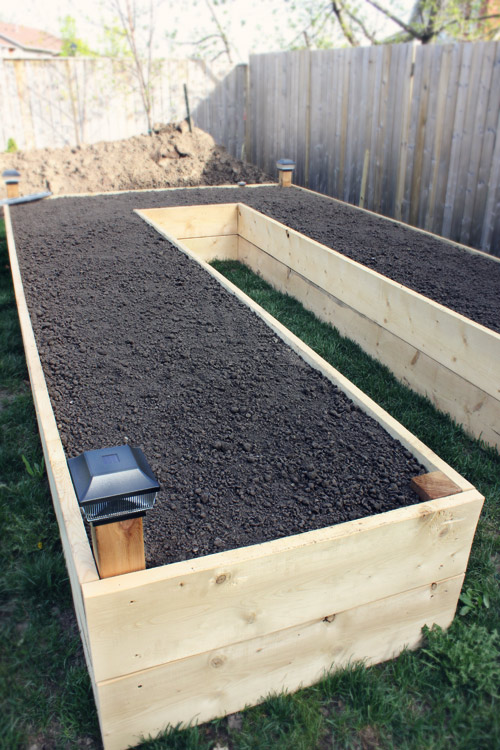 amazing raised garden beds