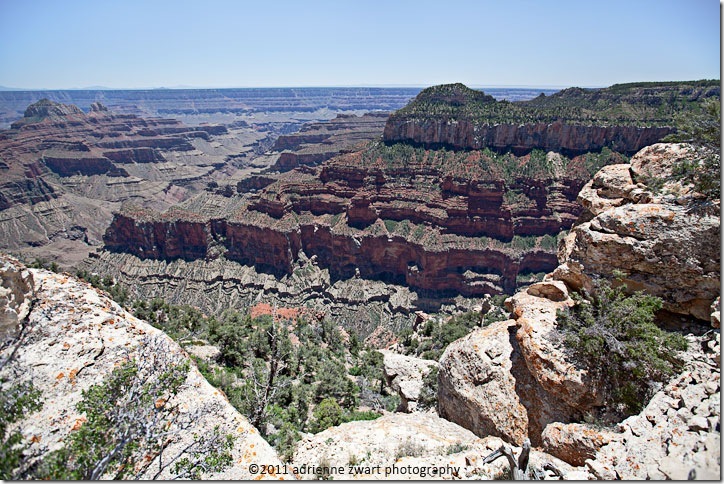 North Rim Grand Canyon - Photo by Adrienne Zwart