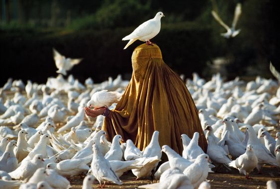 Steve McCurry