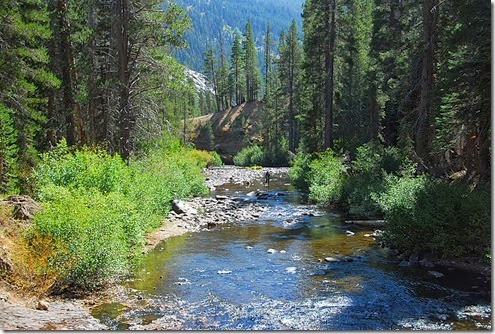 River View 1