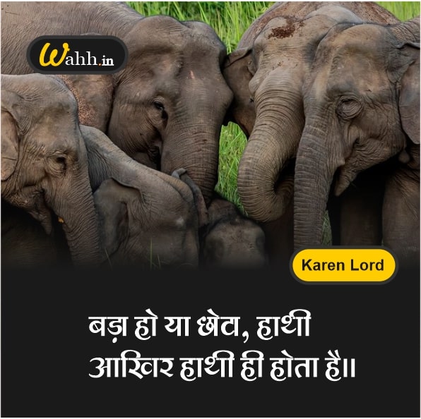 Beautiful And Inspirational Elephant Quotes And Sayings