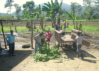 plantains, La Bomba, Jutiapa, Honduras