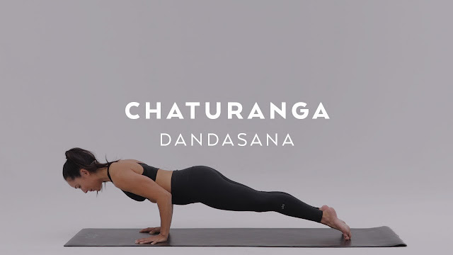 Chaturanga Dandasana