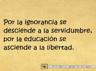 frases de educacion