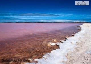 بحيرة ريتبا في السنغال The Lake Retba