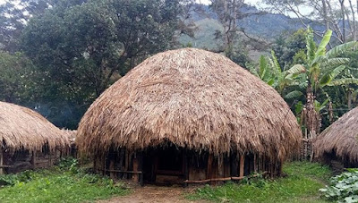  Indonesia mempunyai banyak banyak adab istiadat yang turun temurun dari nenek moyang Macam Macam Rumah Adat Yang Ada Di Pulau Papua