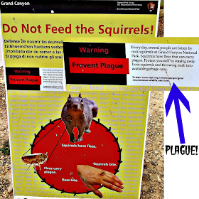 warning sign at Grand Canyon National Park to not feel or handle rock squirrels because they bite and have fleas that can carry plague