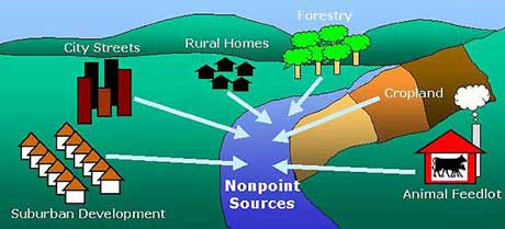 Nonpoint Source Pollution
