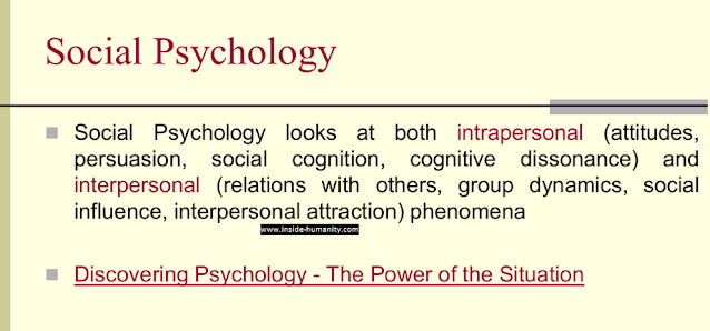 Understanding the Impact of Social Influence on Political Decision Making