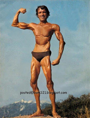 Arnold Schwarzenegger 