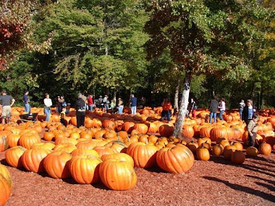 Burt's Pumpkin Farm