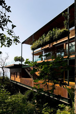 House In The Canopy Of Trees