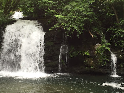 Spain, Marronda forest and the Eo River   by E.V.Pita (2015)  http://evpita.blogspot.com/2015/06/spain-marronda-forest-and-eo-river.html   Fraga de Marronda - río Eo (Baleira, Lugo)  por E.V.Pita (2015)