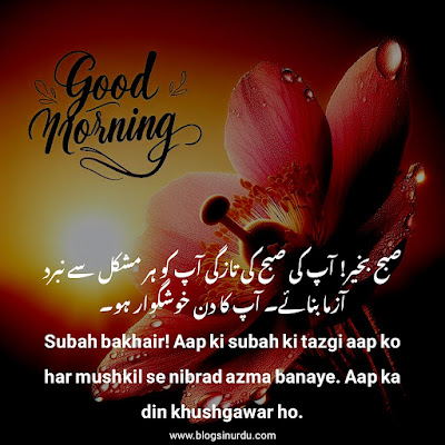 Good Morning Wishes in Urdu - Subah Bakhair