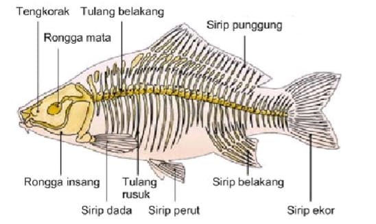 Senyum Semangat Senin 20 Juli 2021