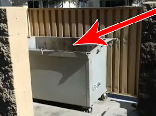 You'll Be Horrified When You See What This Kindhearted Couple Found In A Dumpster