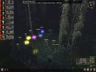Dungeon Siege Game Screenshots 2002