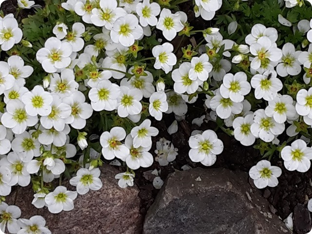 20170506_165418