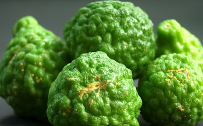 what-is-bergamot-best-used-for