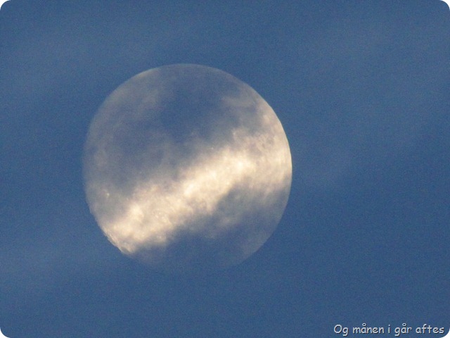 IMG_7864_resize